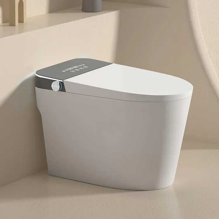Selbstreinigende intelligente Toilette